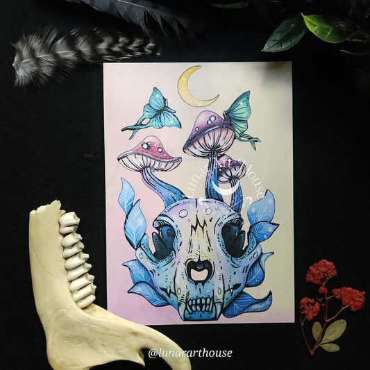 Cat Skull Art Print 5x7