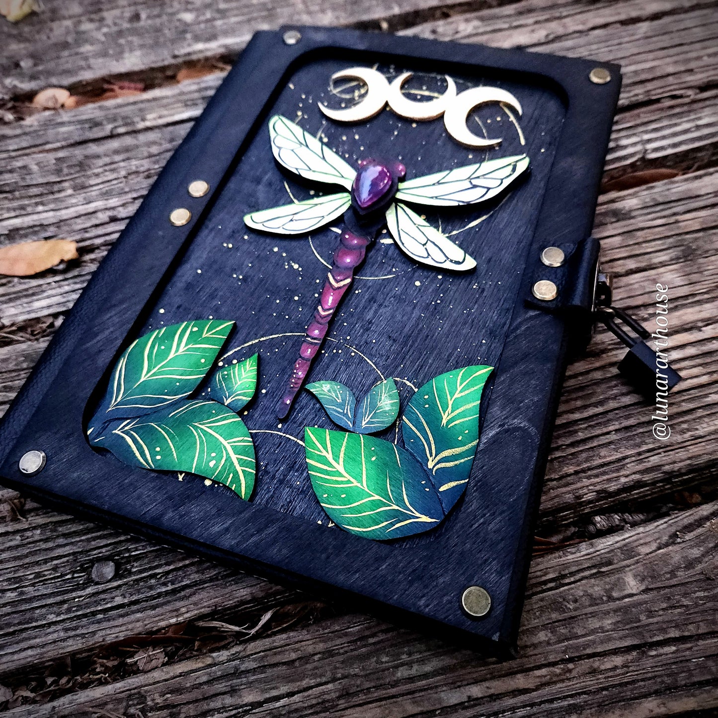 Dragonfly Hidden Key Journal