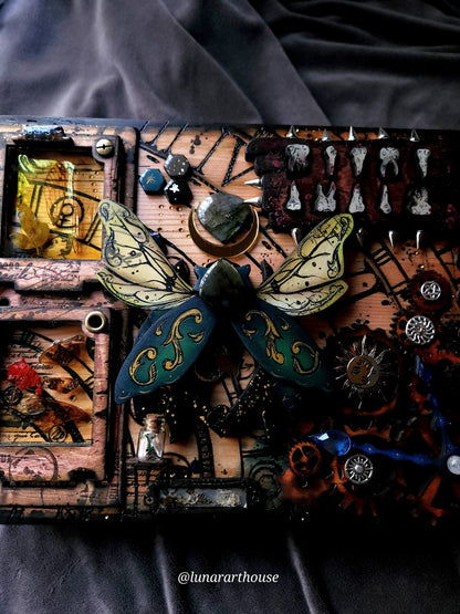Beetle Hdden Key Box™️