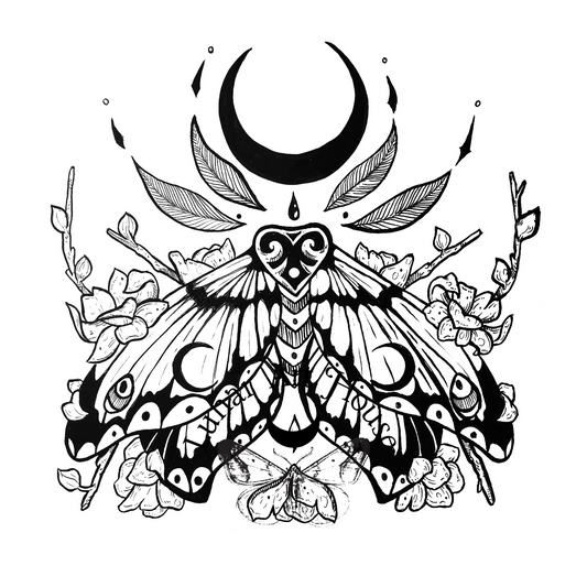 Moth Coloring Page
