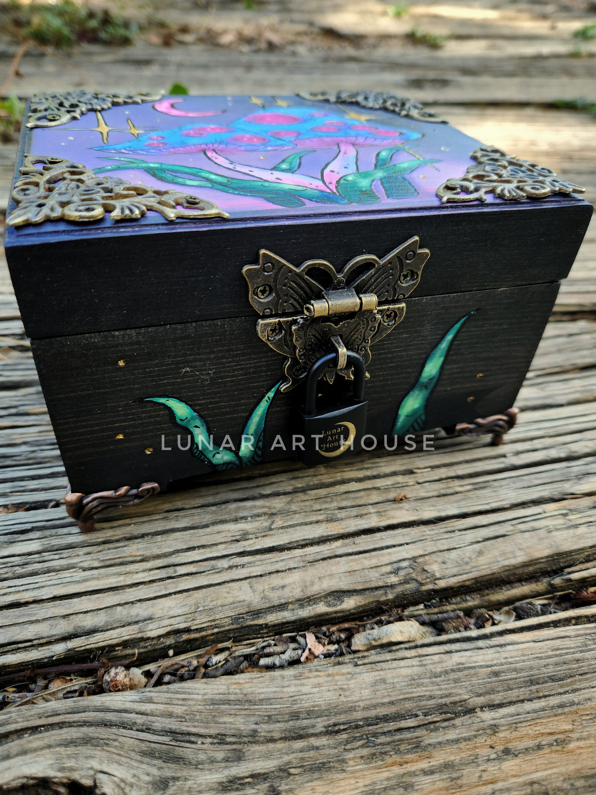 Mushrooms Have Eyes Box